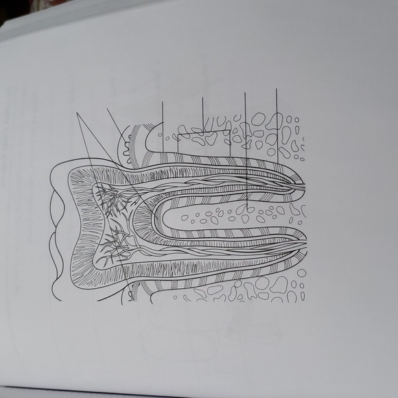 Dental Assisting Coloring Book unused - Picture 11 of 14